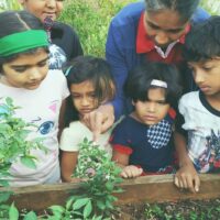 What is an organic garden ? Why do children need to know about gardening ?