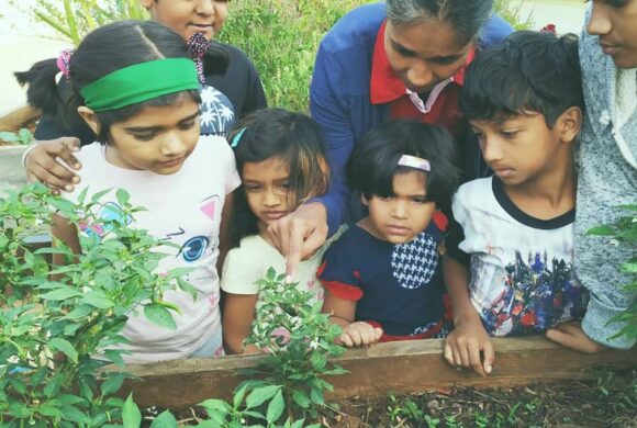 What is an organic garden ? Why do children need to know about gardening ?
